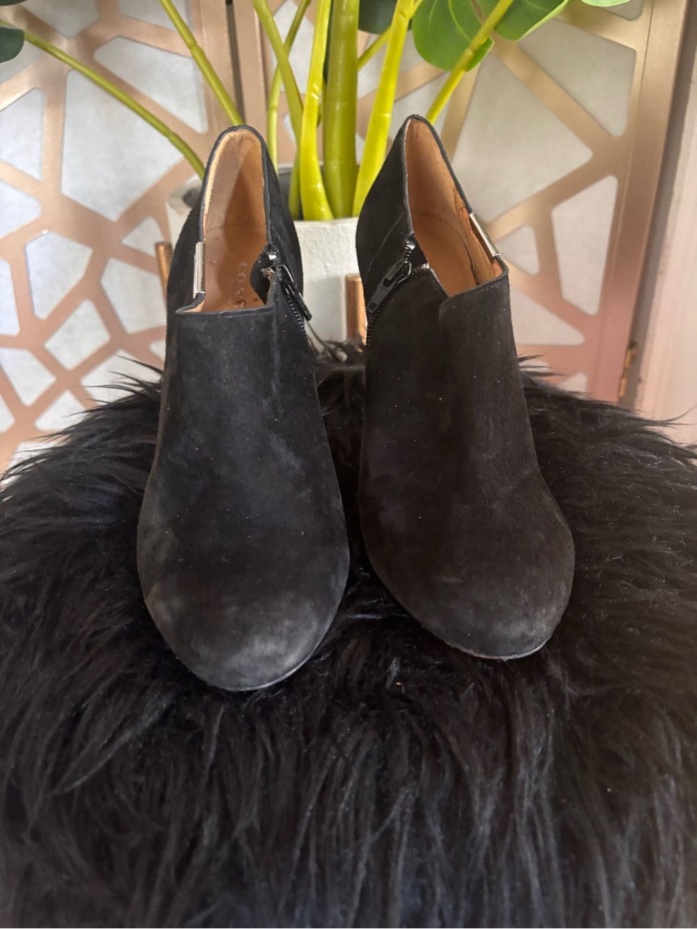Coach Black Suede Ankle Booties Snake Print Heels Side Zip Size 8.5